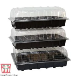 Garden Grow Plug And Seed Growing Tray -Plants Sale domed