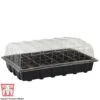 Garden Grow Plug And Seed Growing Tray 1 Garden Grow Plug And Seed Growing Tray -Plants Sale domed3