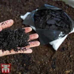 Ericaceous Compost 11 Ericaceous Compost -Plants Sale era2