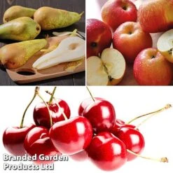 Mini Orchard Pie Trio 7 Mini Orchard Pie Trio -Plants Sale fruit3b