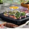 Garden Gear Heated Propagator 1 Garden Gear Heated Propagator -Plants Sale heat prop1