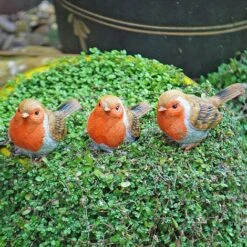 3 Pot Topping Robin Bird Garden Ornaments 13 3 Pot Topping Robin Bird Garden Ornaments -Plants Sale il 1140xN.2350364383 5lpz