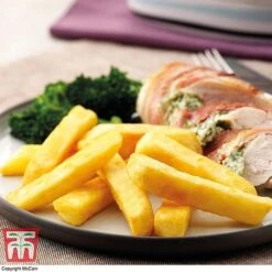 Potato 'T&M All Year Round Collection' 20 Potato 'T&M All Year Round Collection' -Plants Sale mcprem2