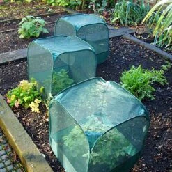 MiniPop Pop-Up Mini Plant & Seedling Cover - 50x50x50cm -Plants Sale mini pop up net cage 3pk