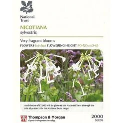 Seed Collection Tin + 10 Packets Of National Trust Seeds -Plants Sale nico sylv P1