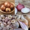 Onion, Shallot & Garlic Saver Pack 1 Onion, Shallot & Garlic Saver Pack -Plants Sale onion coll