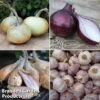 Onion, Garlic And Shallot Collection