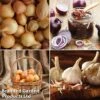 Grow Your Own Onion & Garlic Collection -Plants Sale onion2