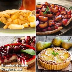 Mini Orchard Collection 8 Mini Orchard Collection -Plants Sale pie1