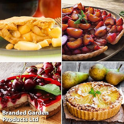 Mini Orchard Collection 4 Mini Orchard Collection - Image 2