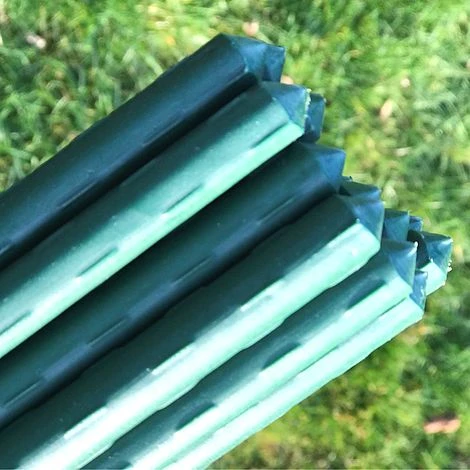 Plant & Tomato Support Stakes - 1.5m / 59" Long 6 Plant & Tomato Support Stakes - 1.5m / 59" Long - Image 4