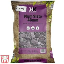 Decorative Plum Slate Aggregate 7 Decorative Plum Slate Aggregate -Plants Sale plum sla a
