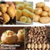 Potato Blight Tolerant Collection 1 Potato Blight Tolerant Collection -Plants Sale potato blight1