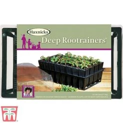 Deep Root Trainers 9 Deep Root Trainers -Plants Sale root3