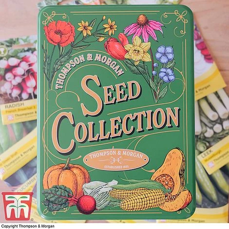 Seed Collection Tin - Gift 4 Seed Collection Tin - Gift - Image 2