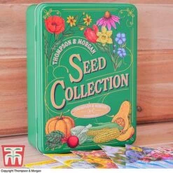 Seed Collection Tin - Gift 11 Seed Collection Tin - Gift -Plants Sale seed tin 4