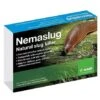 Slug Nematodes Treat Nemaslug 100 Sqm -Plants Sale slug nematodes large