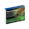 Slug Nematodes Treat Nemaslug 40 Sqm -Plants Sale slug nematodes small