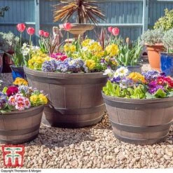 Wooden Barrel Effect Planter – Medium -Plants Sale wood bar1