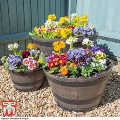 Wooden Barrel Effect Planter – Large -Plants Sale wood bar41