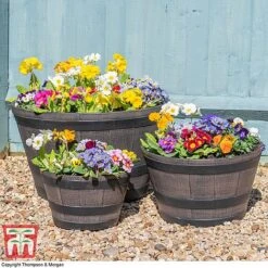 Wooden Barrel Effect Planter – Small -Plants Sale wood bar5