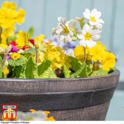 Wooden Barrel Effect Planter – Large -Plants Sale wood bar62