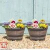 Wooden Barrel Effect Planter – Small -Plants Sale wood small2
